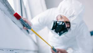 Professional Pest Control in Pompton Lakes, NJ